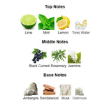 Platine Blanc by Aromatix X French Avenue 100ml – Unisex Floral Citrus Fragrance