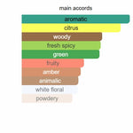 Platine Blanc by Aromatix X French Avenue 100ml – Unisex Floral Citrus Fragrance