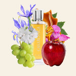 ISS ARABIAN CASABLANCA 100ML